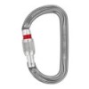 Petzl Am'D Karabiner